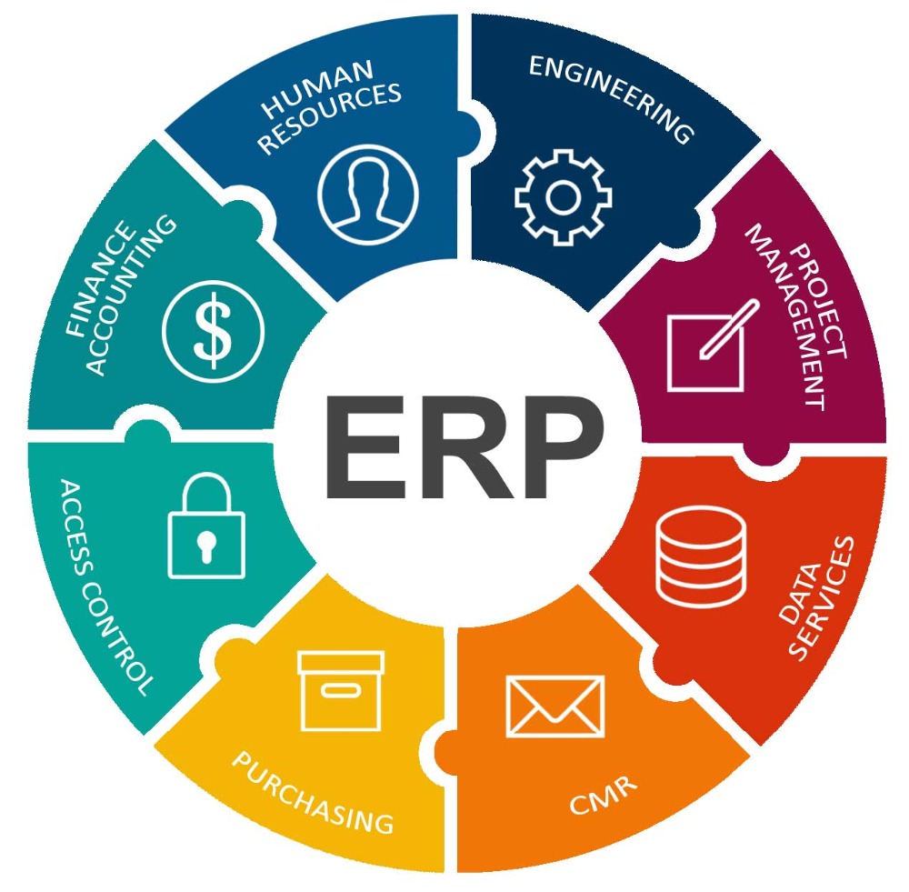  SAP Enterprise Resource Planning 