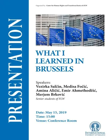  What I Learned in Brussels 