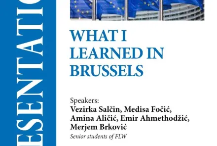  What I Learned in Brussels 