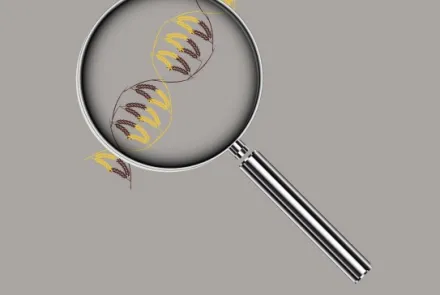  Seminar "Application of Molecular Marker Assisted Breeding in Wheat for Food Sustainability" 