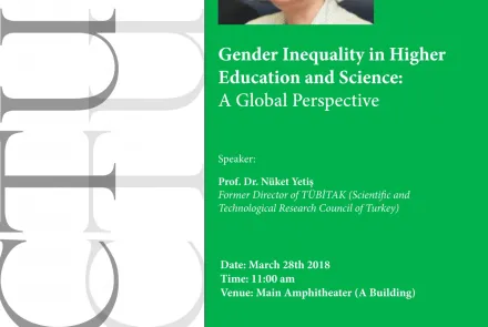  Gender Inequality in Higher Education and Science: A Global Perspective 