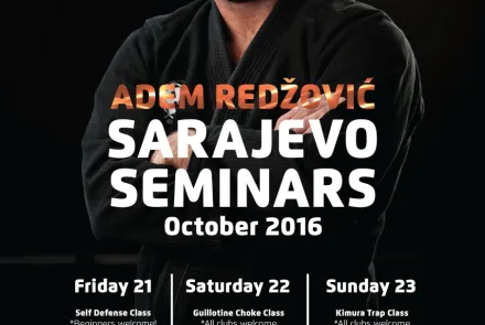  Sarajevo Seminars 