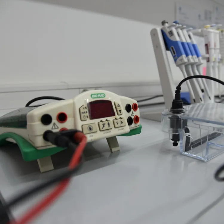 Genetics and Molecular Biology Lab