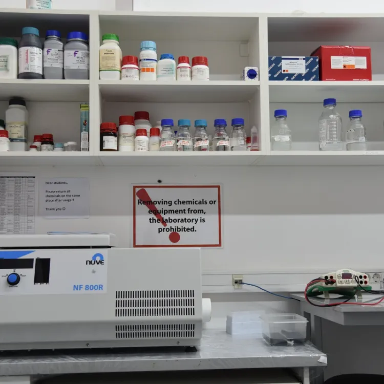 Genetics and Molecular Biology Lab